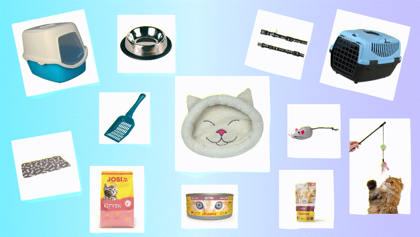 Welpen / Kitten Starter Set