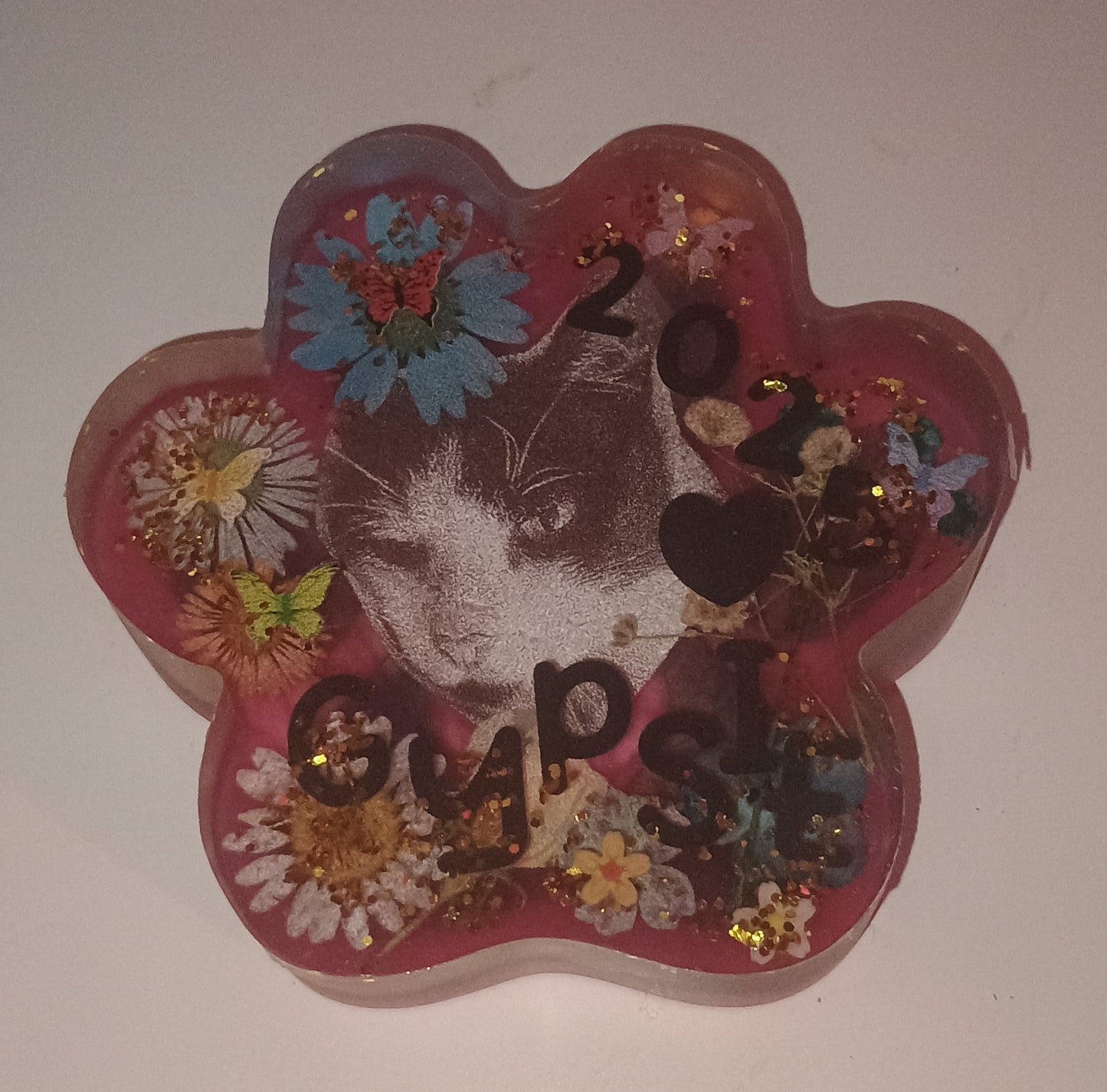 Tier Pfote LED Lampe